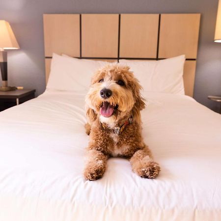 Sonesta Simply Suites Columbus Airport Gahanna Exteriör bild