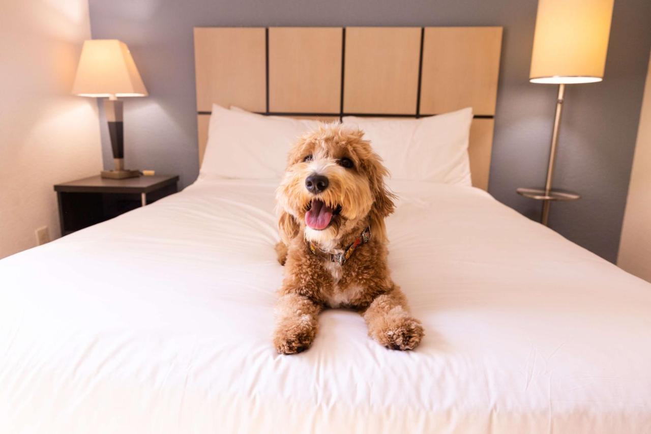 Sonesta Simply Suites Columbus Airport Gahanna Exteriör bild